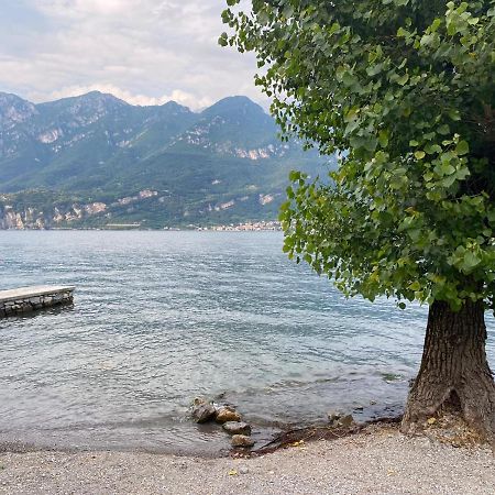 Al Cottage Oliveto Lario Ngoại thất bức ảnh