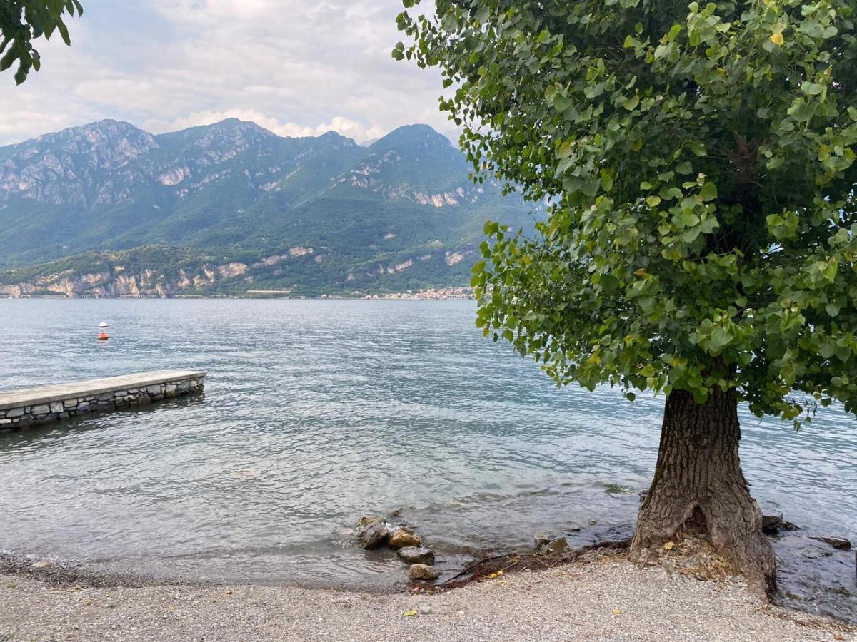 Al Cottage Oliveto Lario Ngoại thất bức ảnh
